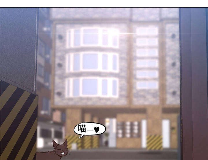 第28章：一直被欺负
