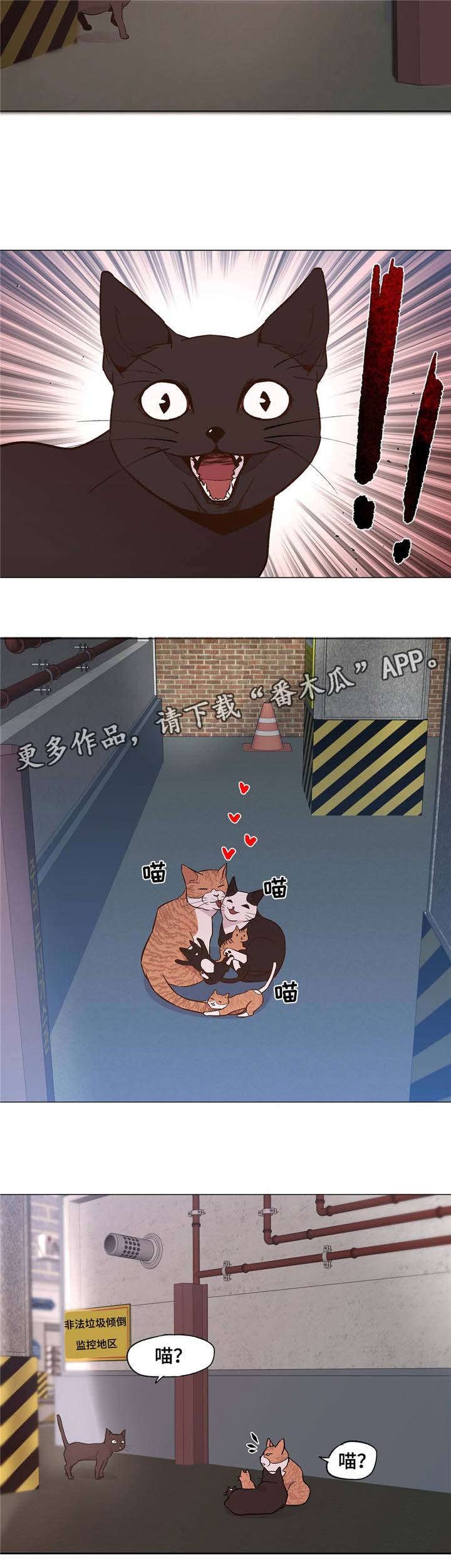 第28章：一直被欺负