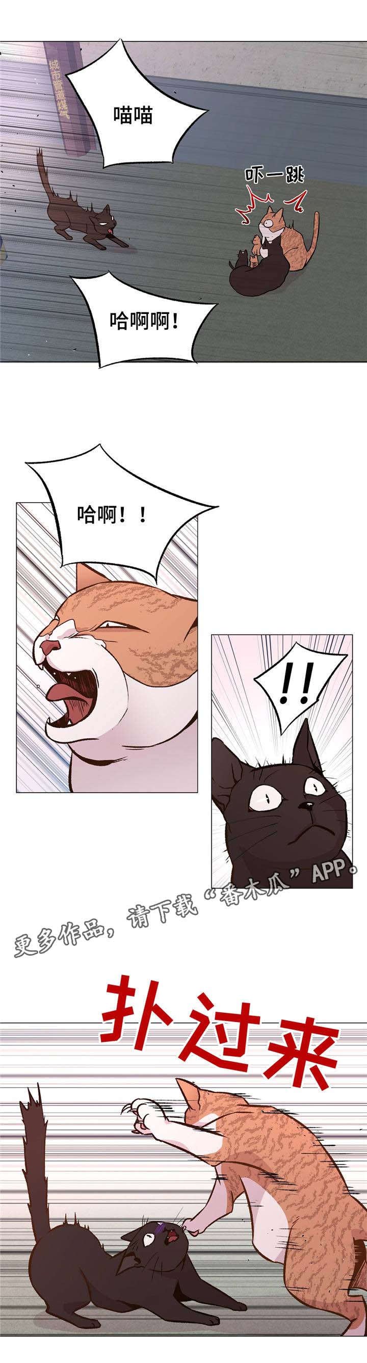 第28章：一直被欺负