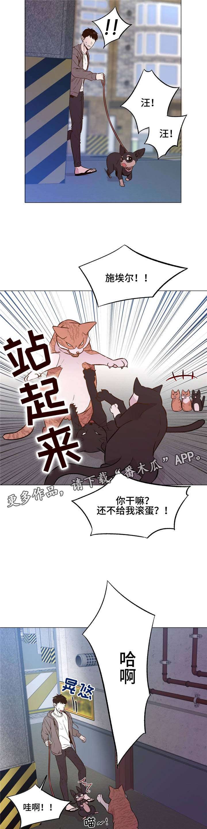 第28章：一直被欺负