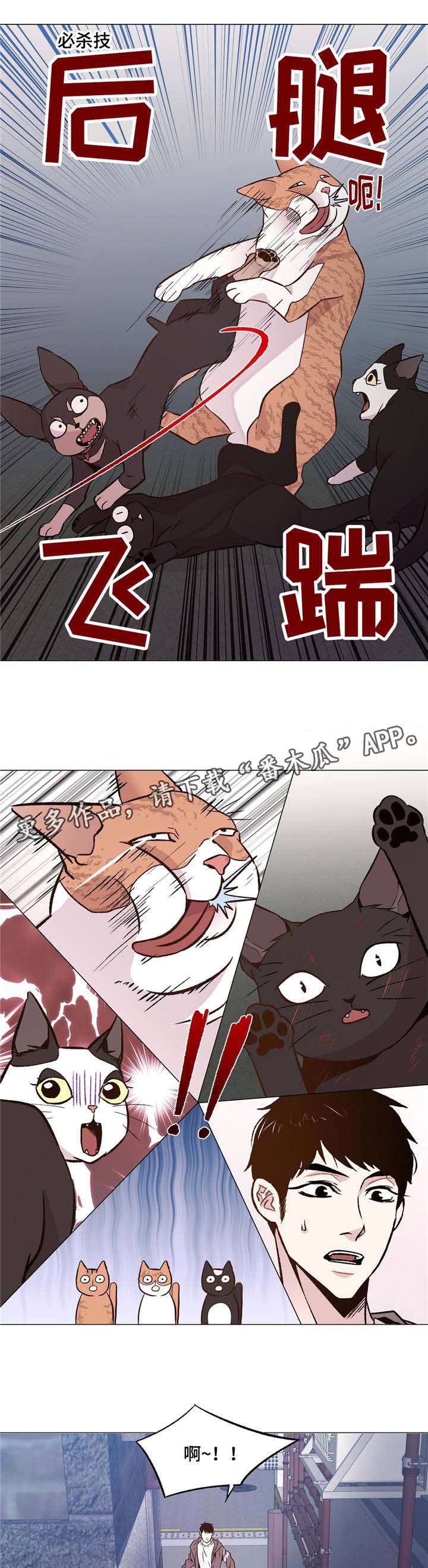 第29章：和睦相处