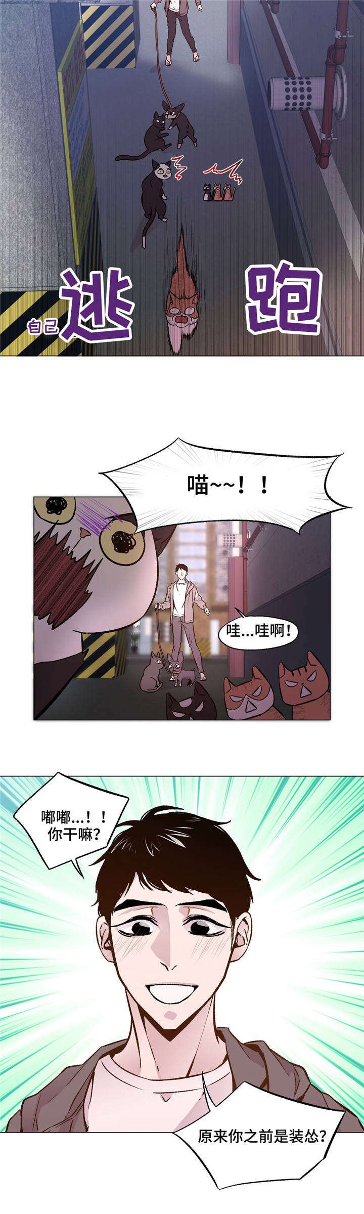 第29章：和睦相处
