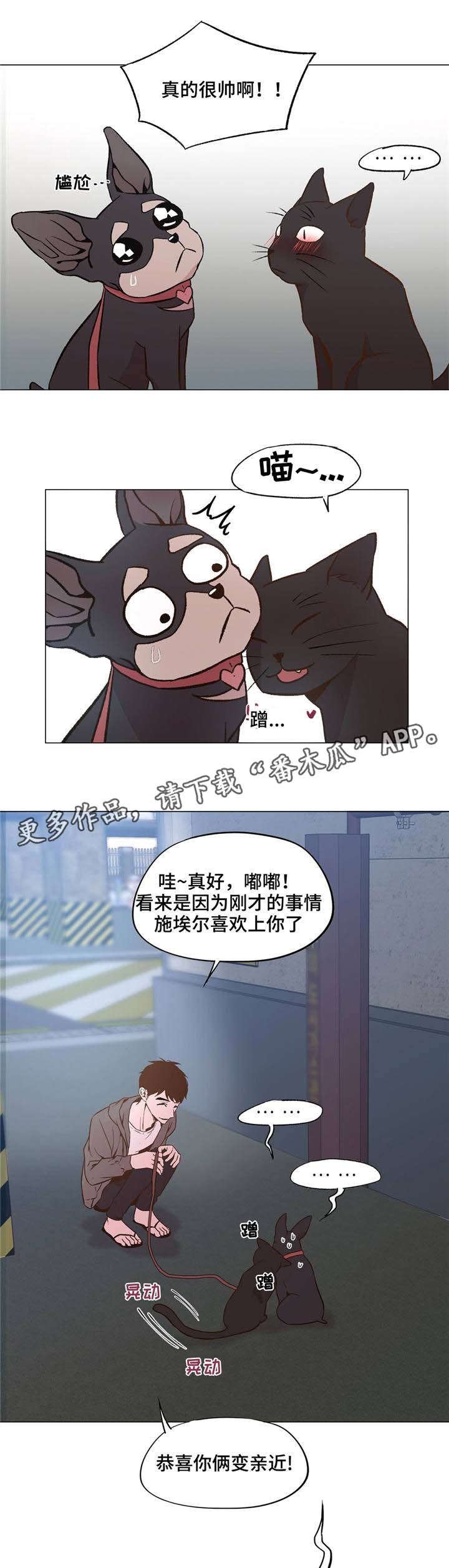 第29章：和睦相处