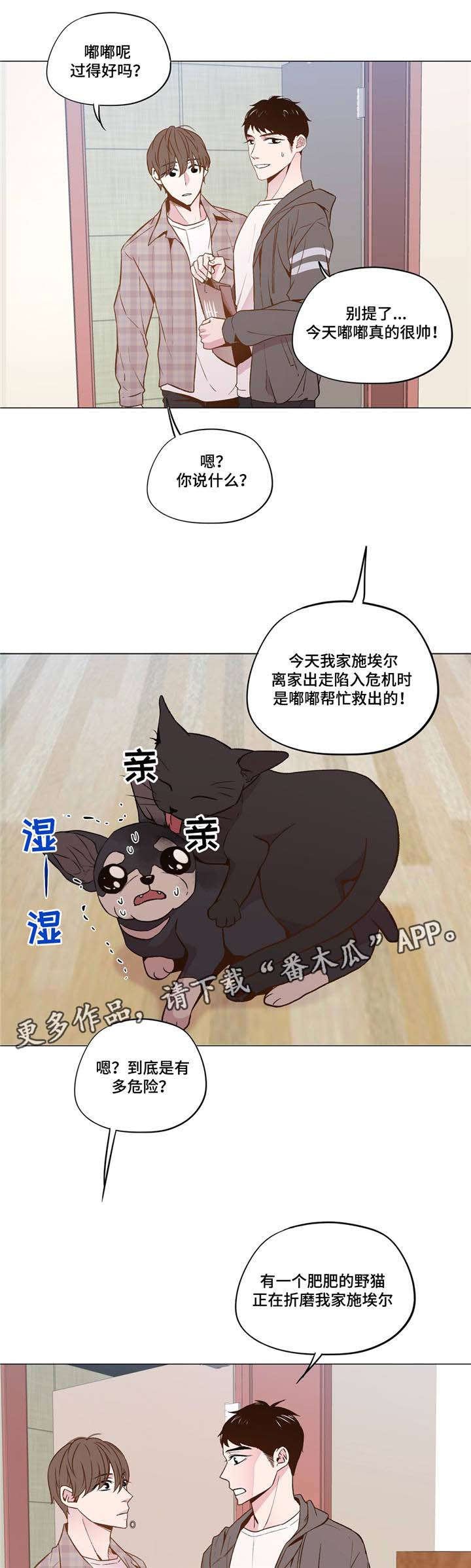 第29章：和睦相处