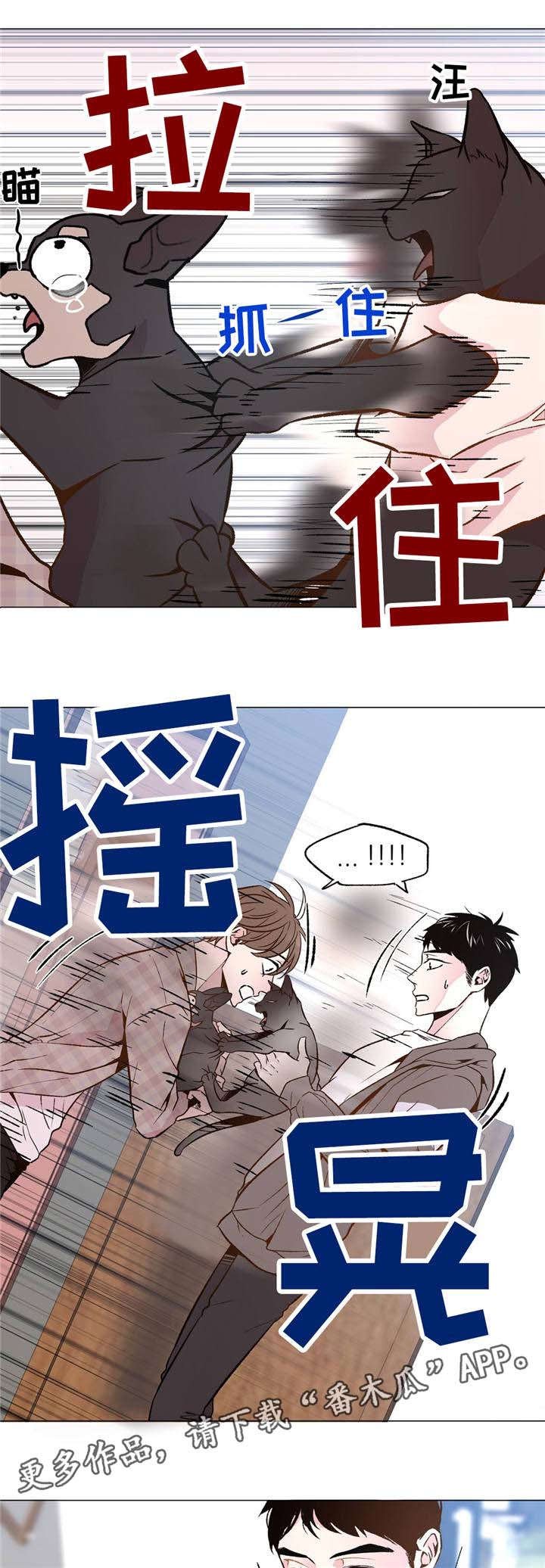 第29章：和睦相处