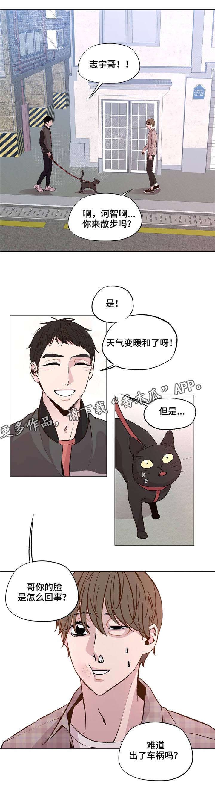 第31章：出车祸了？