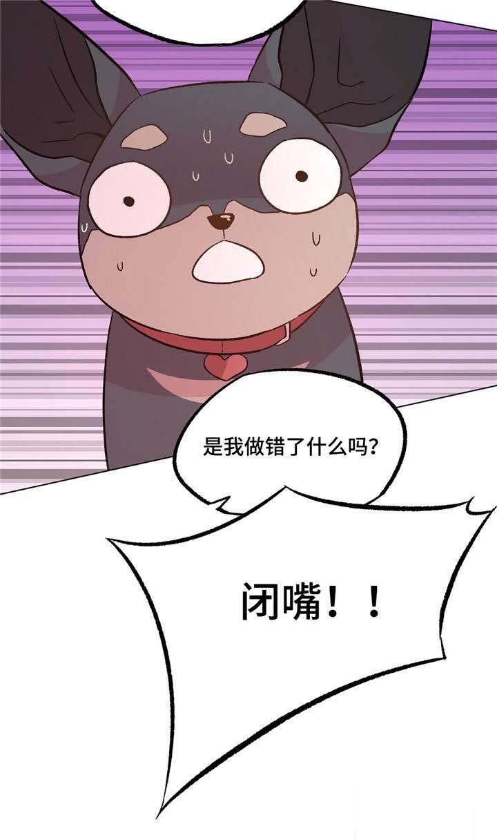 第35章：一切都变了