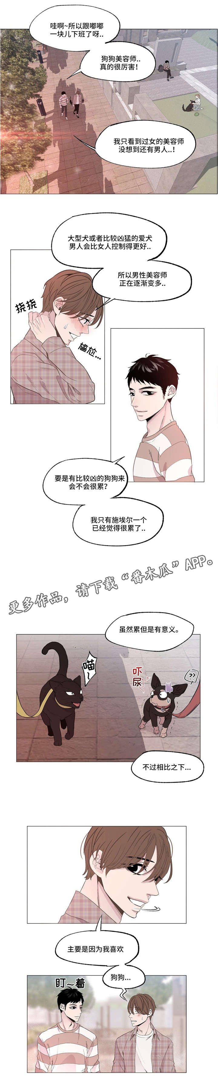 第4章：小说家