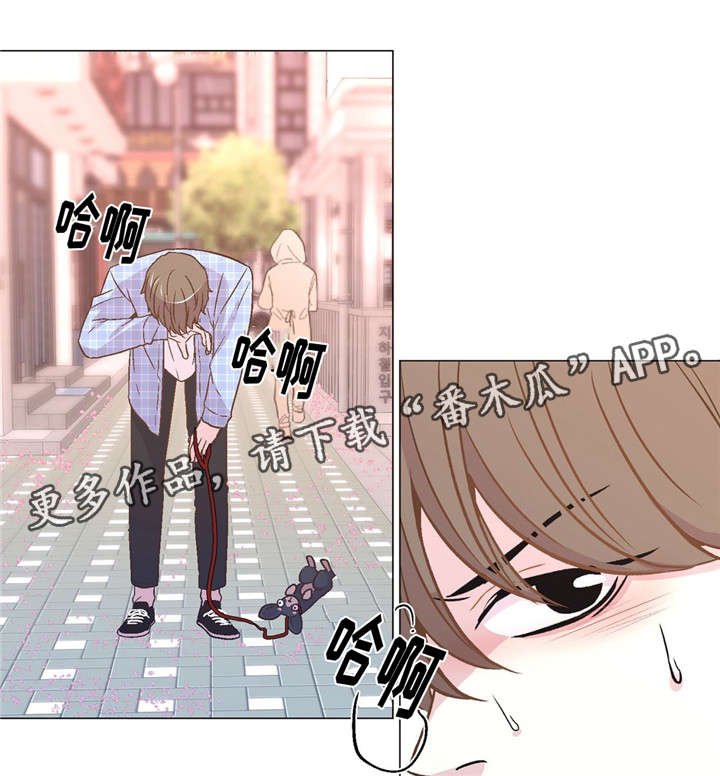 第46章：目睹