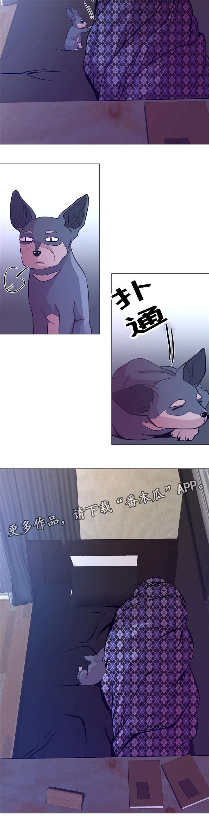 第49章：软柿子