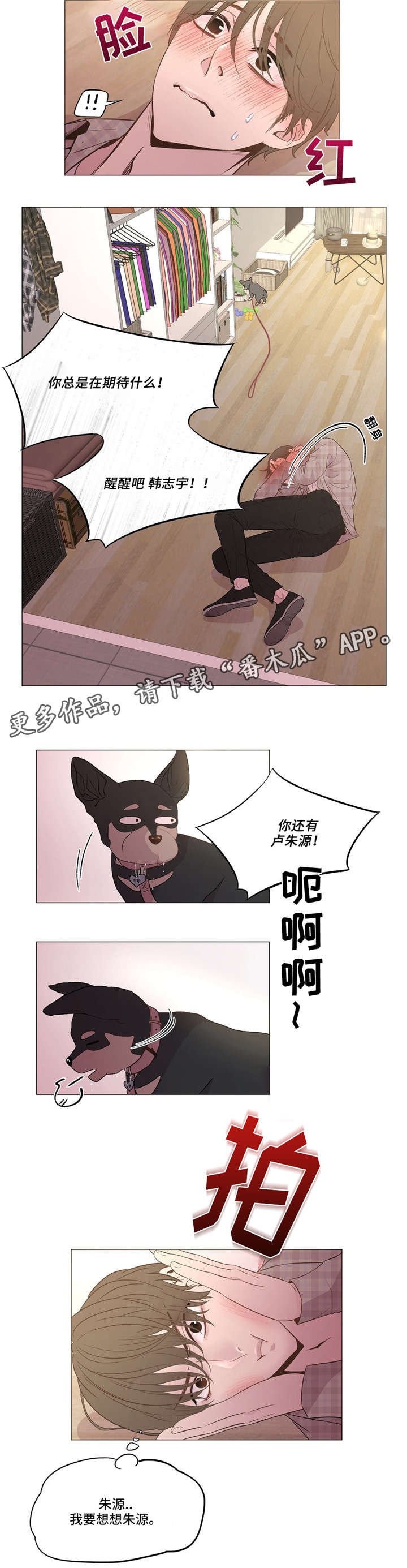 第5章：心烦意乱