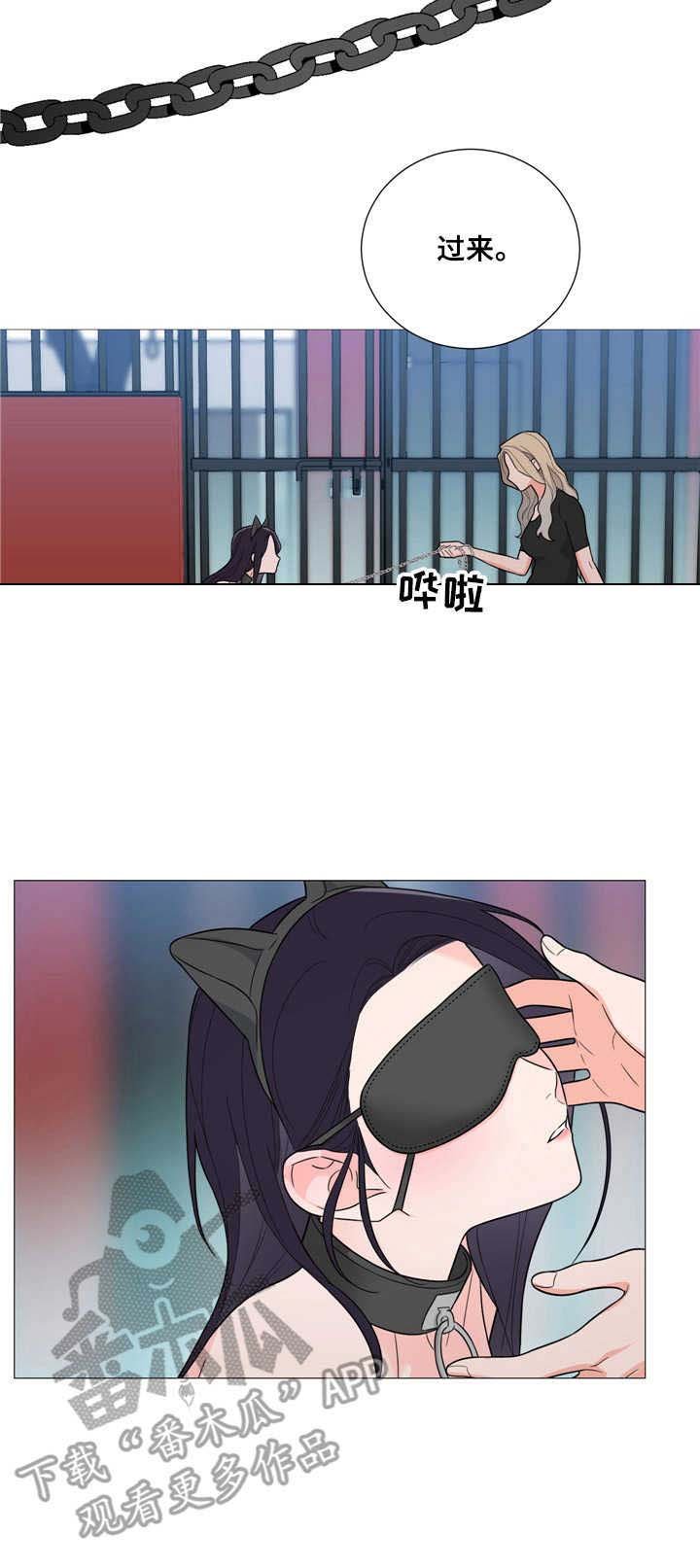 第28章：驯服