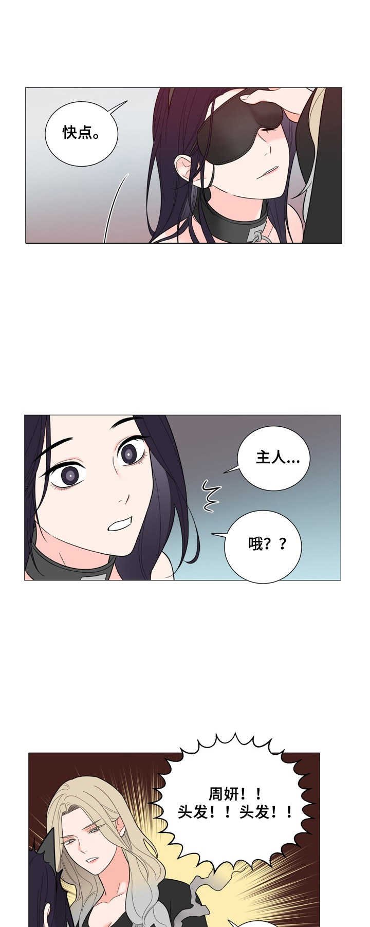 第29章：期待