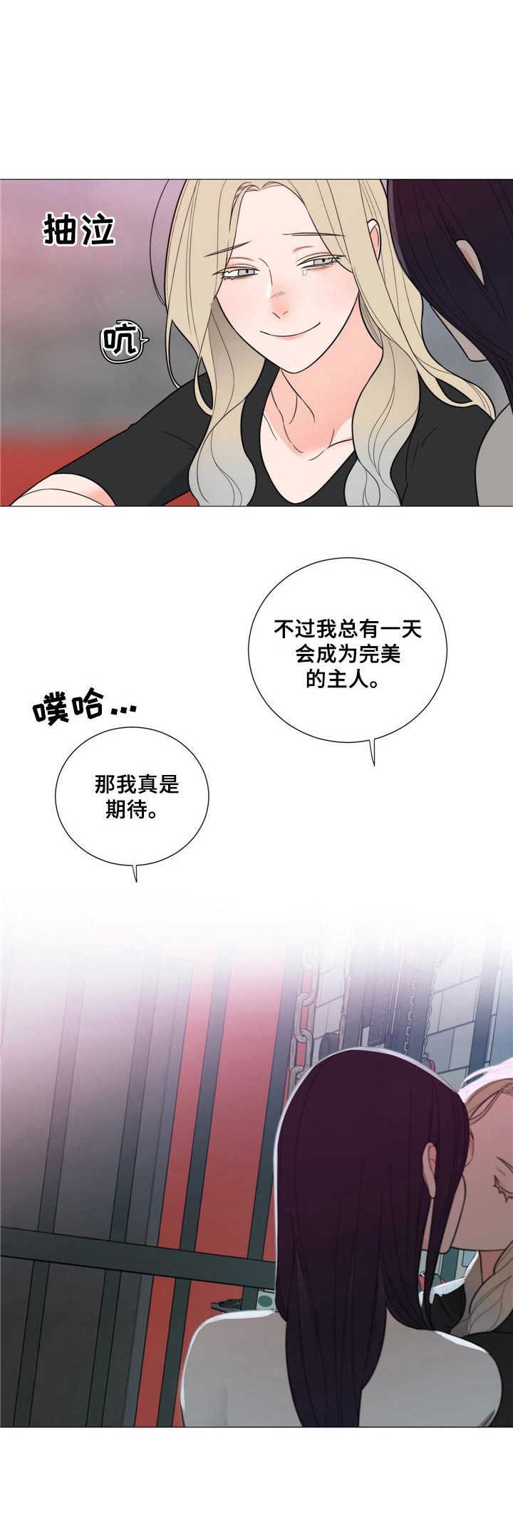 第29章：期待