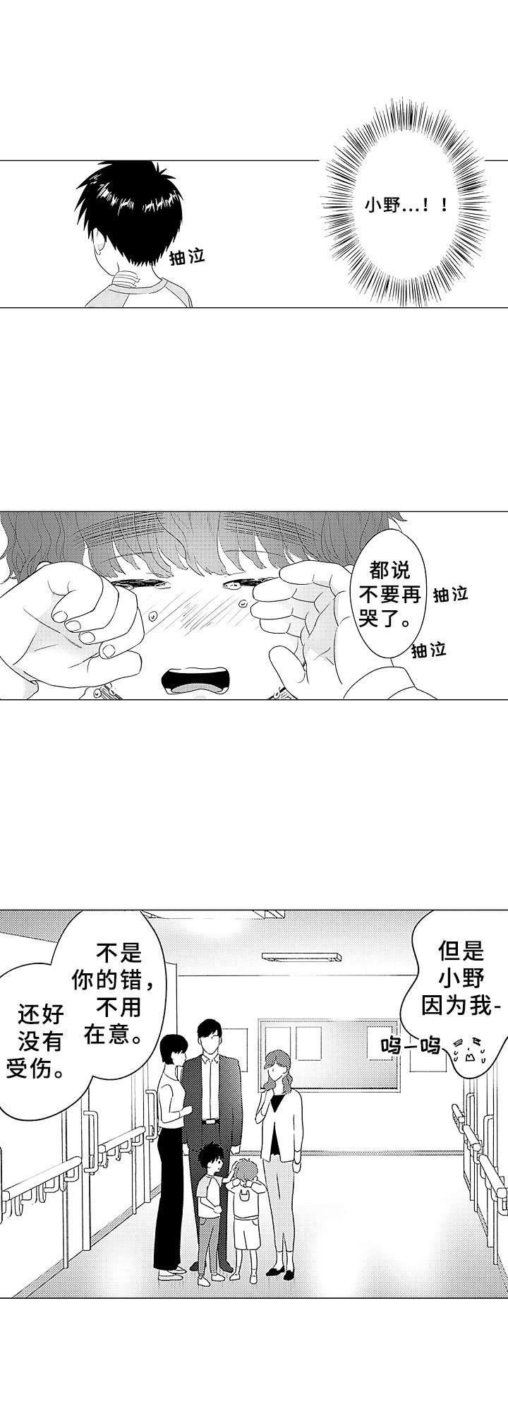 第11章：不是替代品