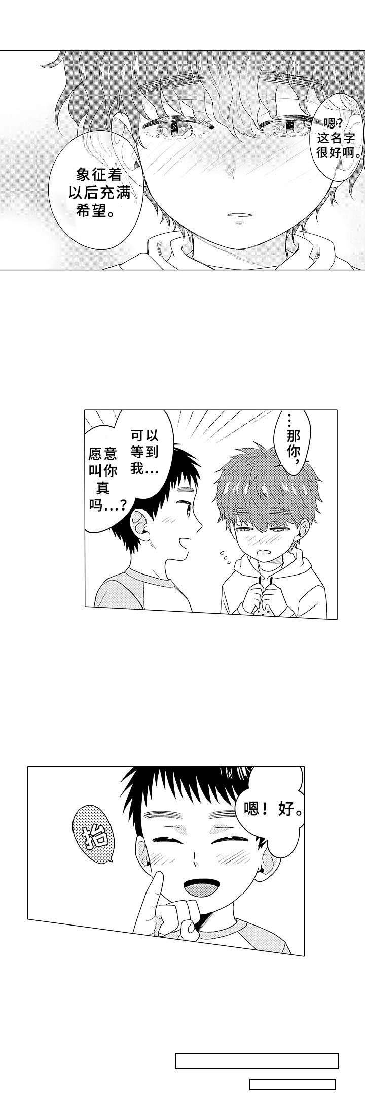 第11章：不是替代品
