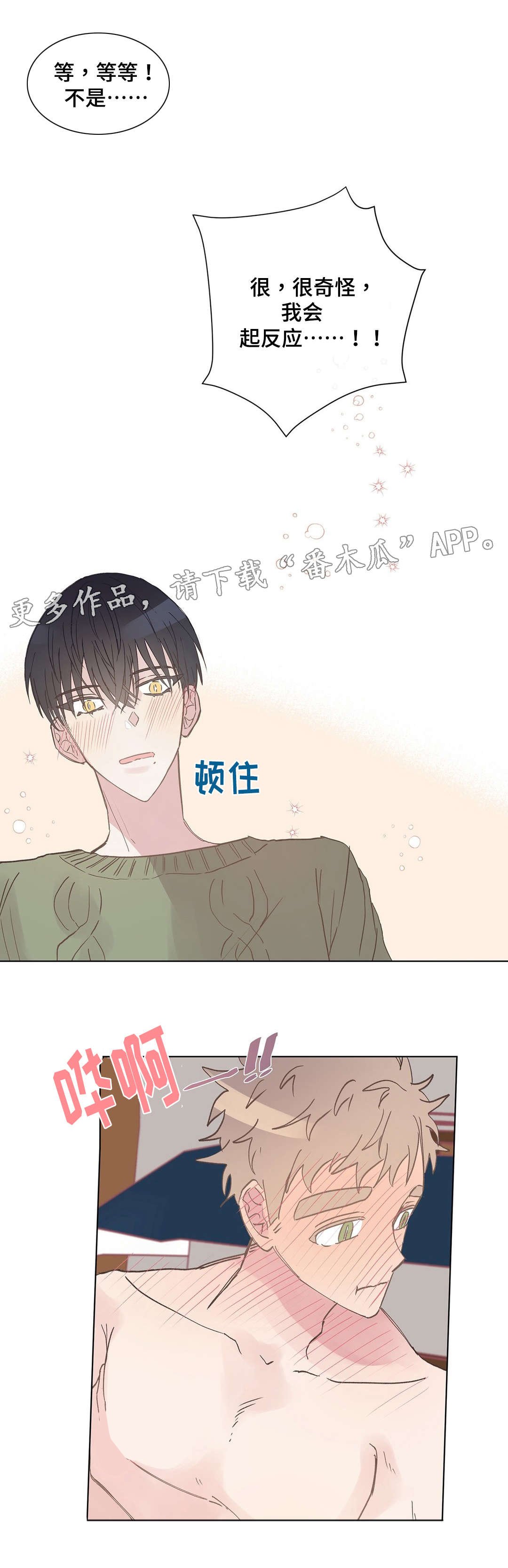 第10章：胡思乱想
