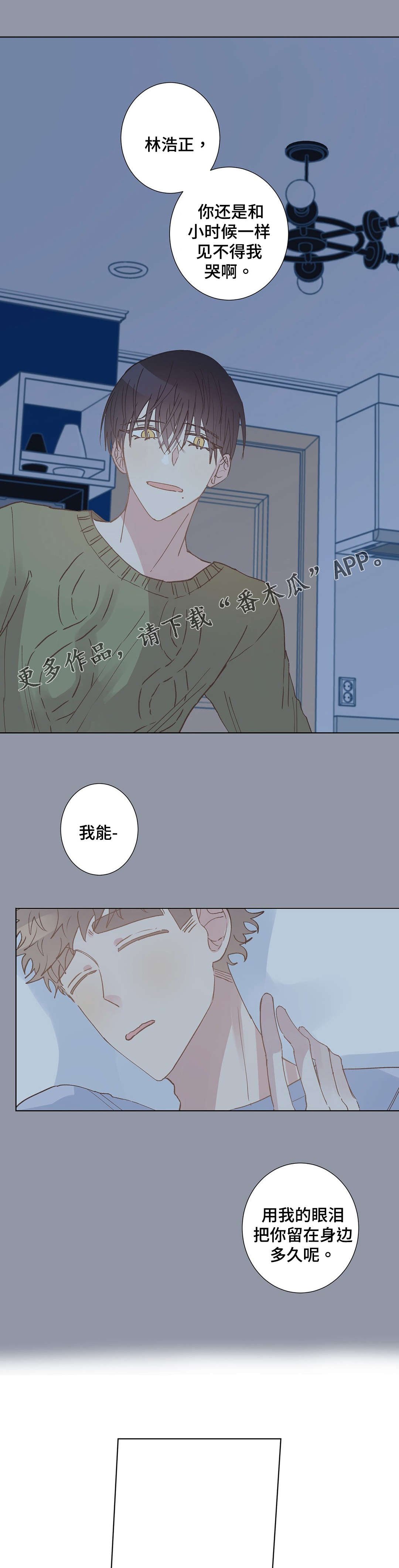 第13章：帮助