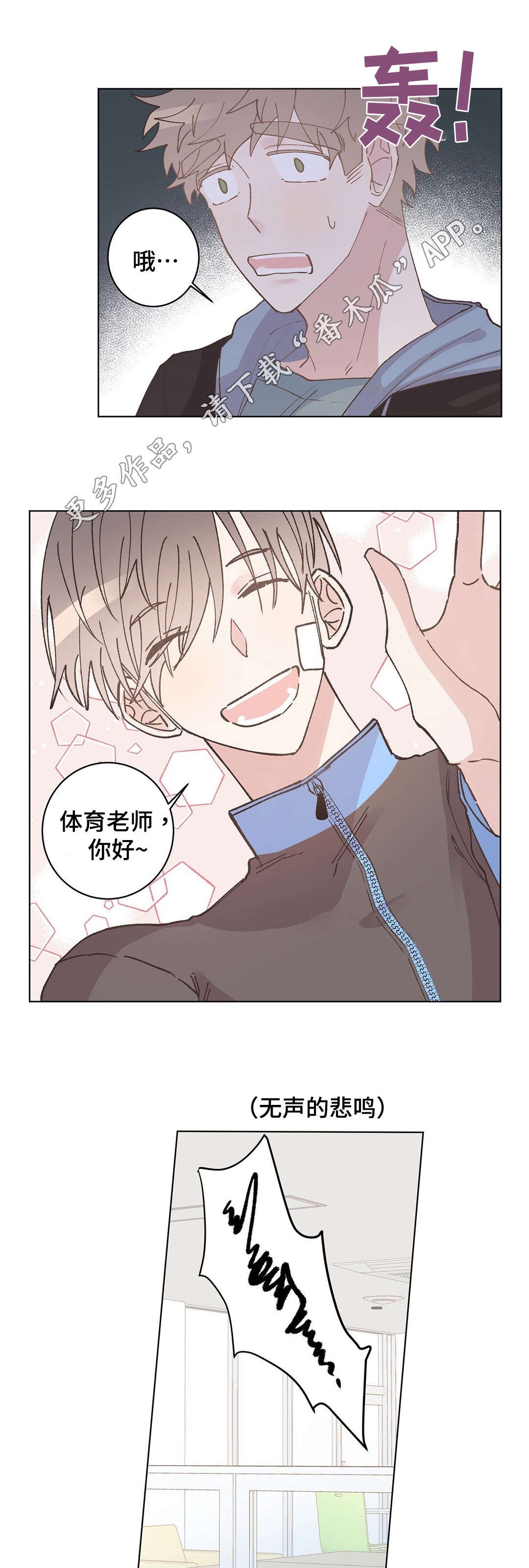 第15章：暴露