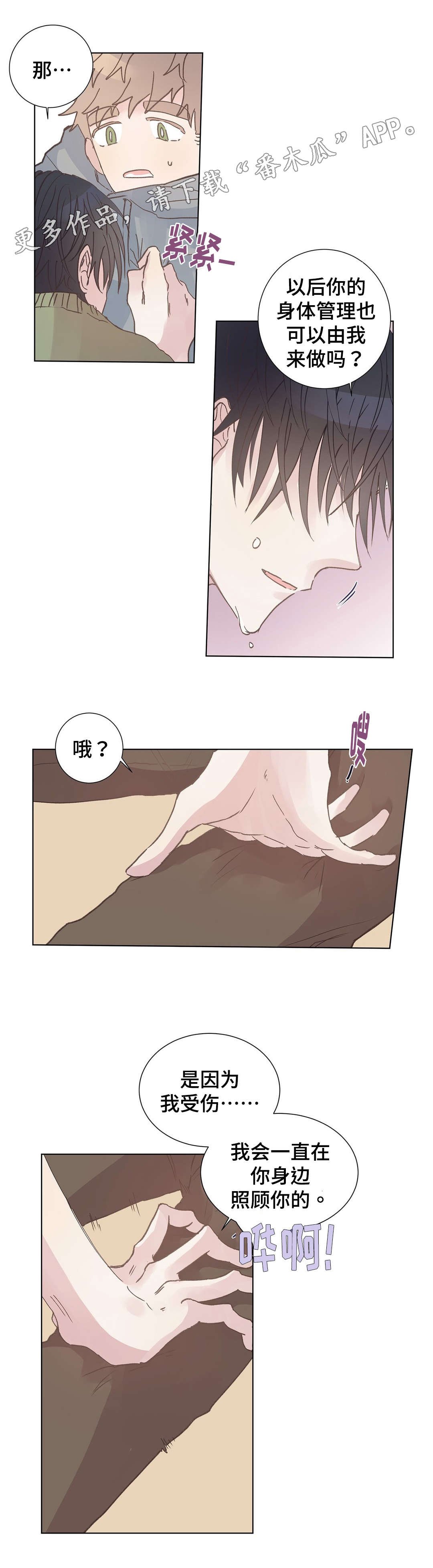 第9章：照顾
