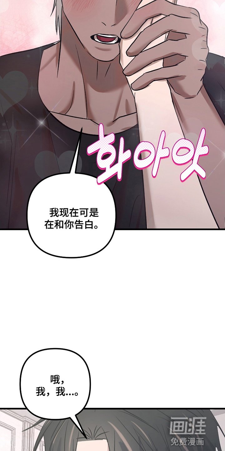 第17章：告白