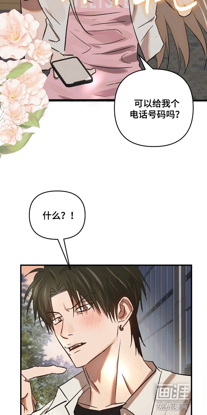 第5章：另一个攻略对象