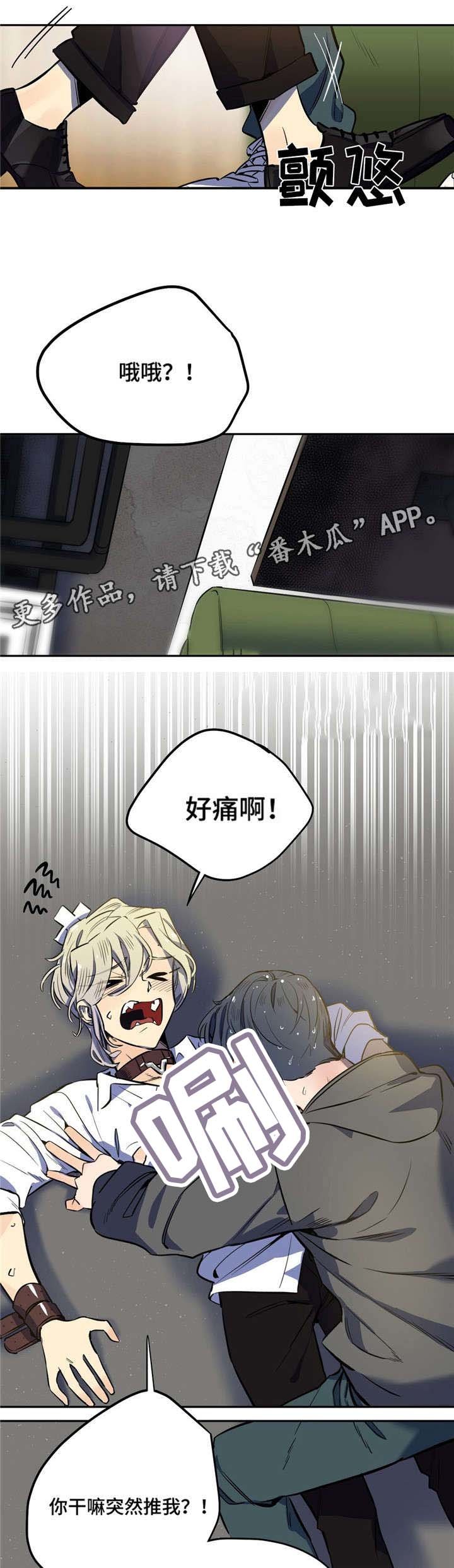 第14章：魔咒症状
