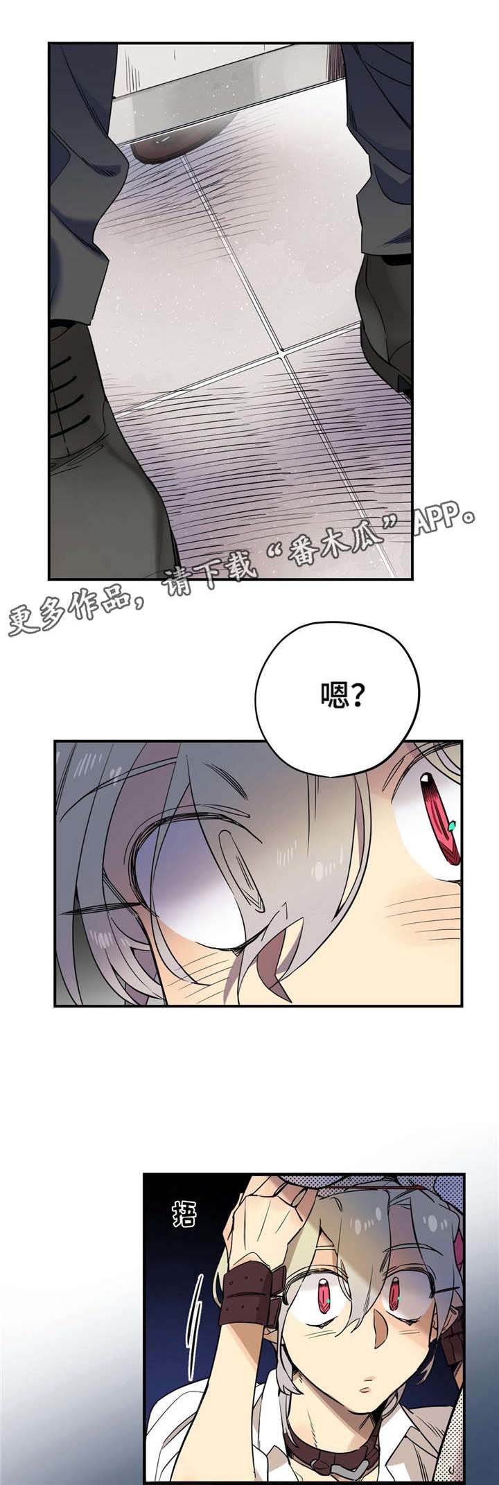 第27章：偷窥者