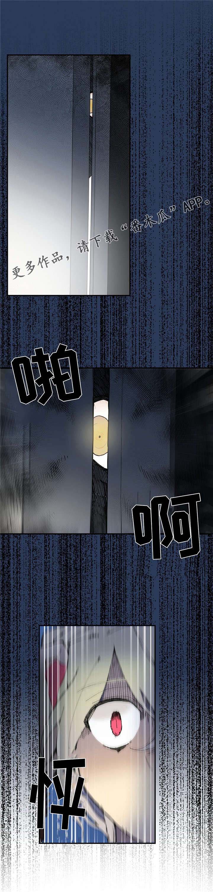 第27章：偷窥者