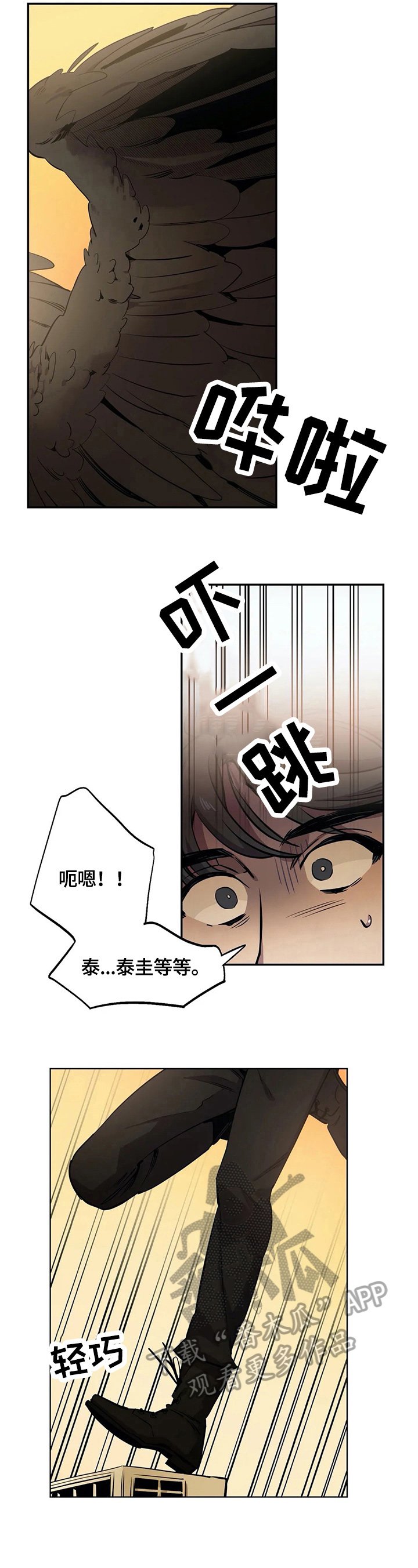 第78章：安全之地