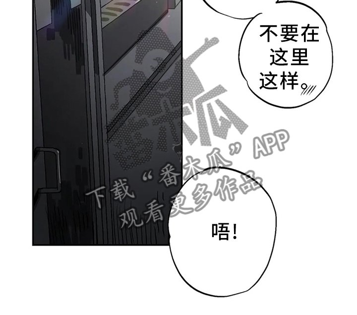 第95章：尘埃落定(完结)