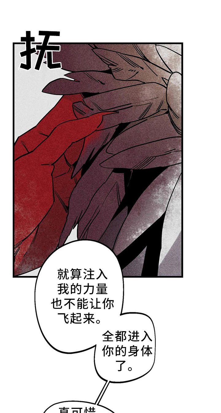第96章：【番外】不理解的行为