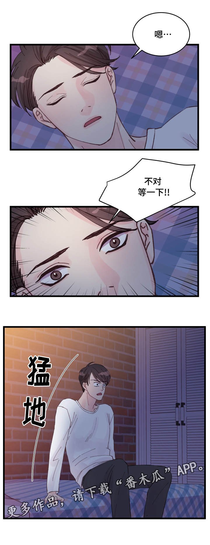第19章：利用