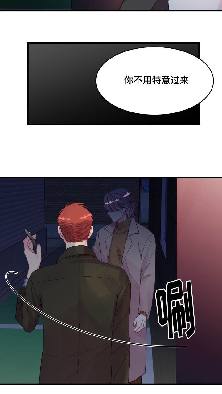 第29章：见面
