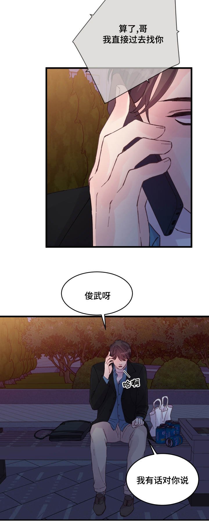第41章：电话