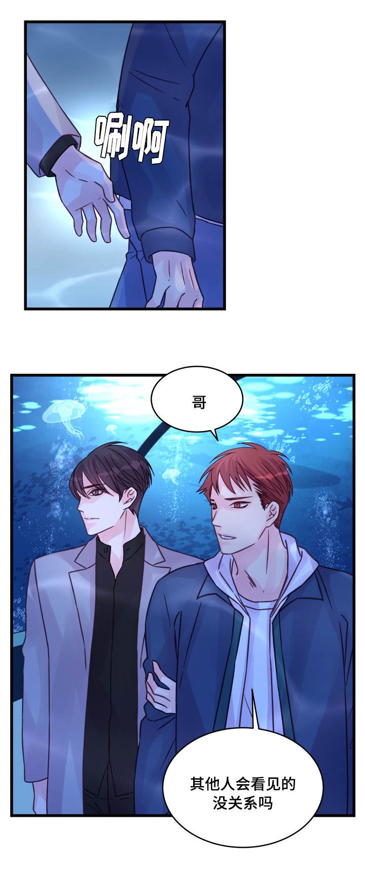 第68章：企鹅