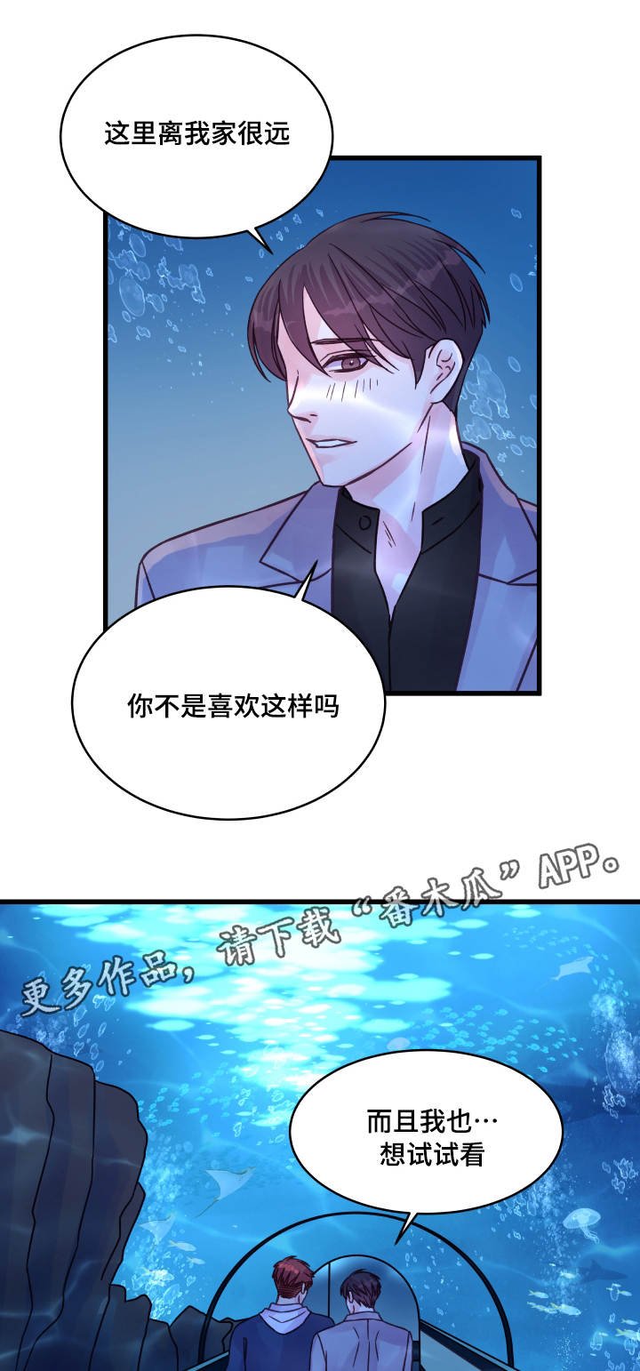 第68章：企鹅
