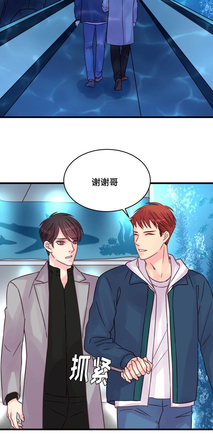 第68章：企鹅