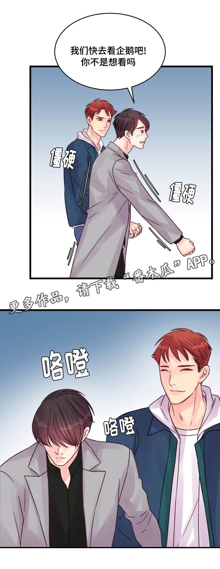 第68章：企鹅