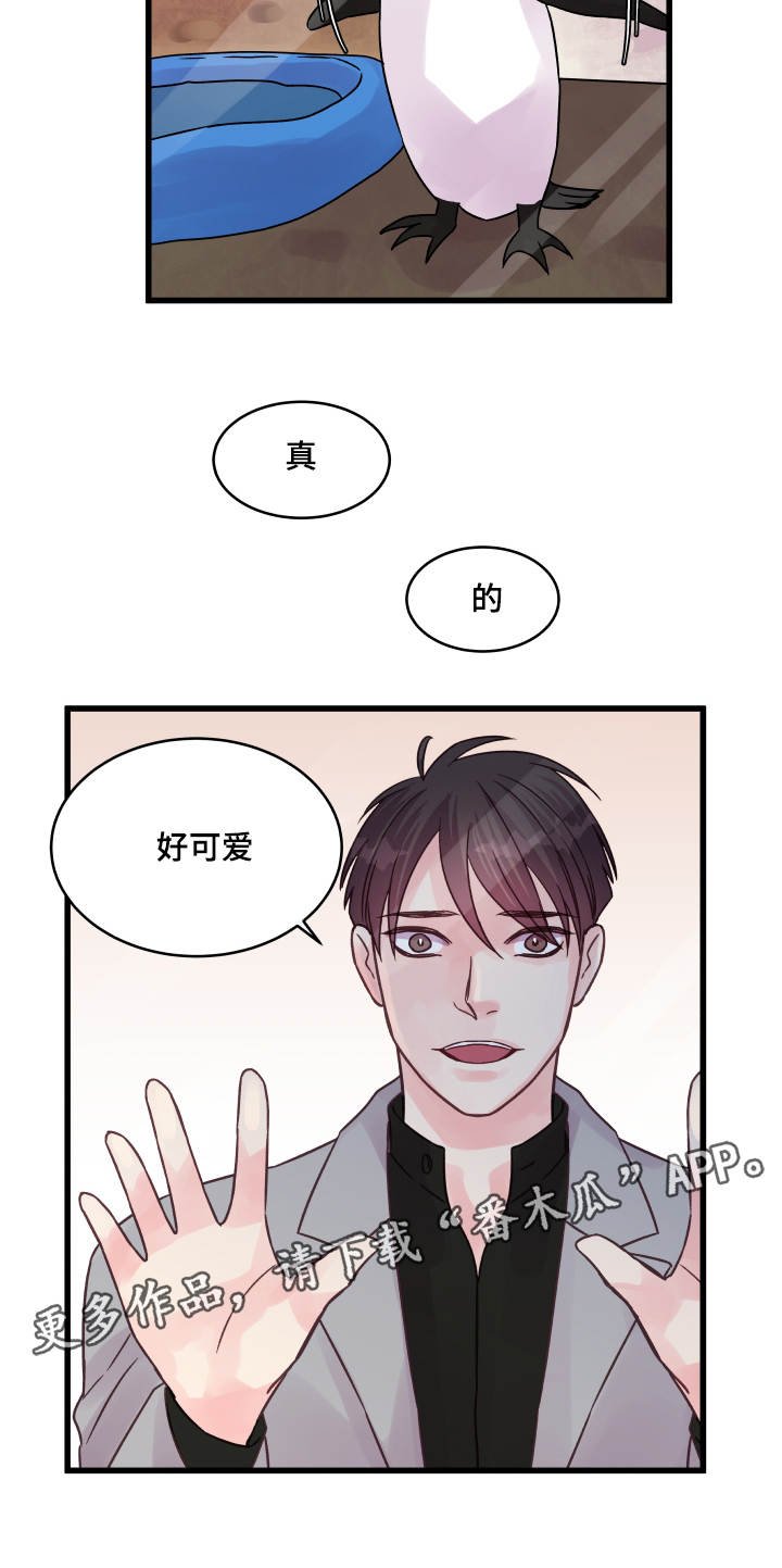 第68章：企鹅