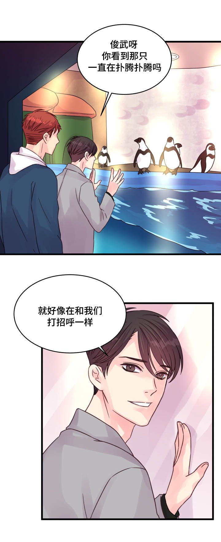 第68章：企鹅