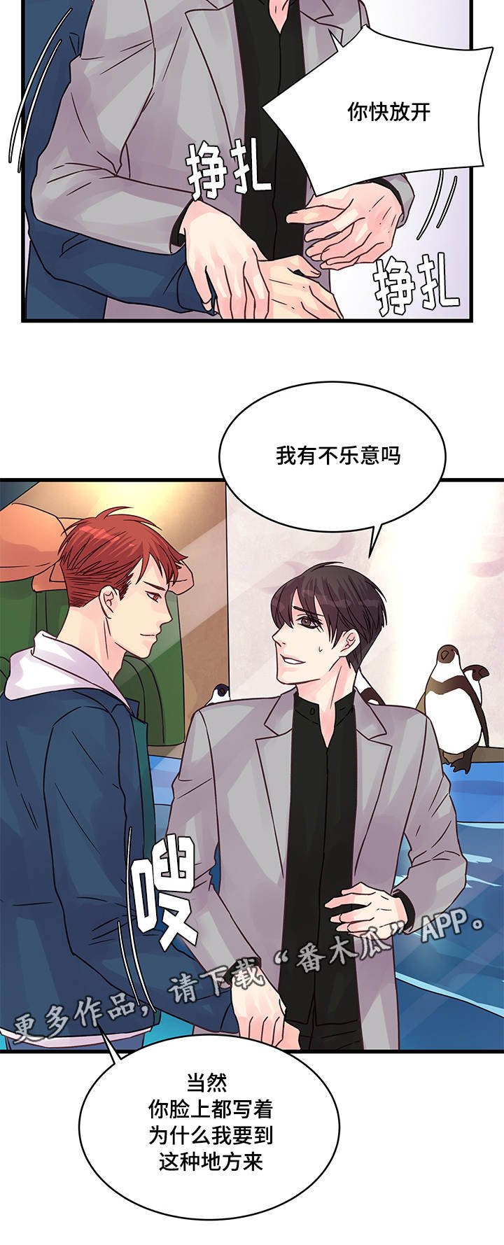 第68章：企鹅