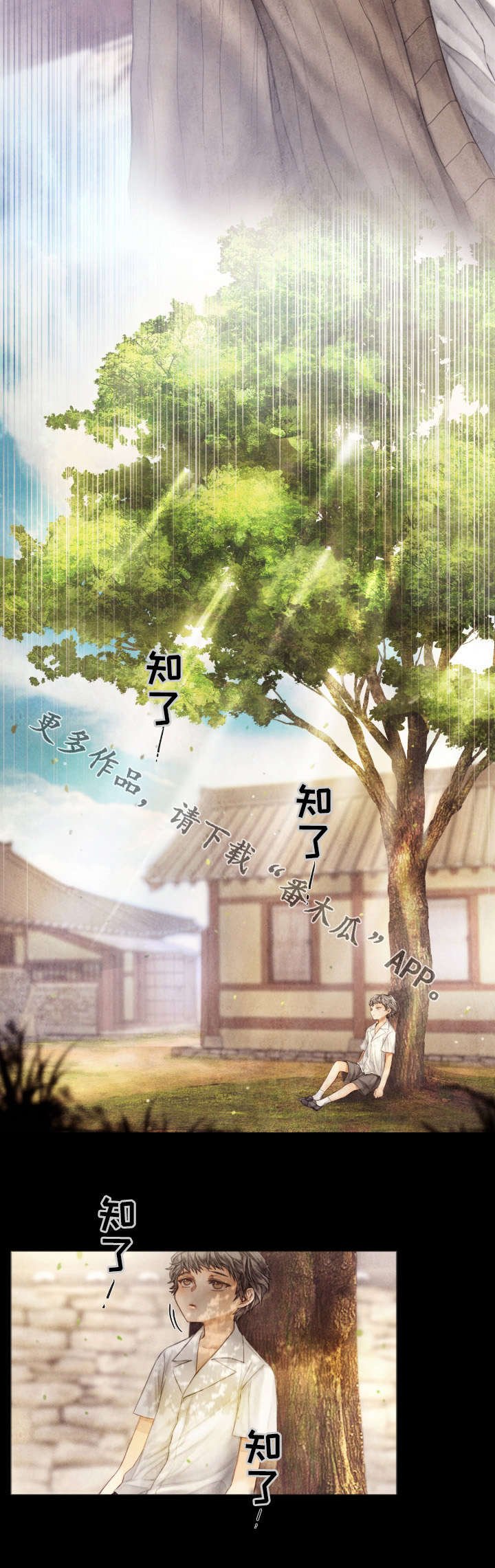 第16章：了解
