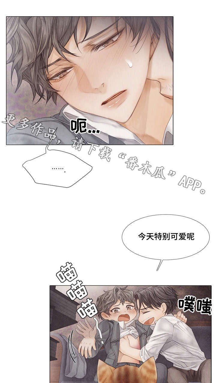 第33章：癖好
