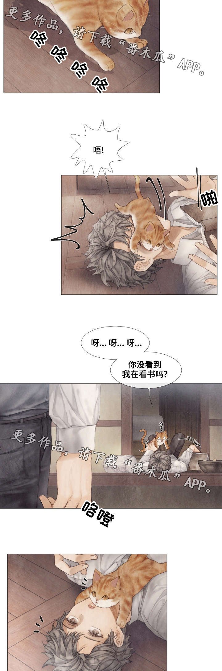 第35章：看望