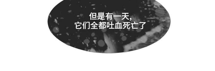 第35章：看望