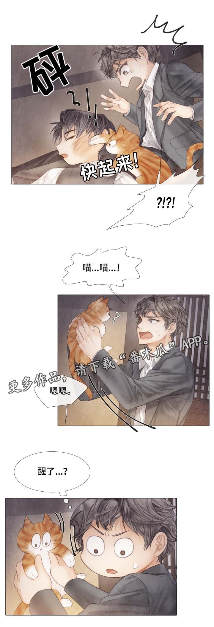 第42章：从未许诺给你
