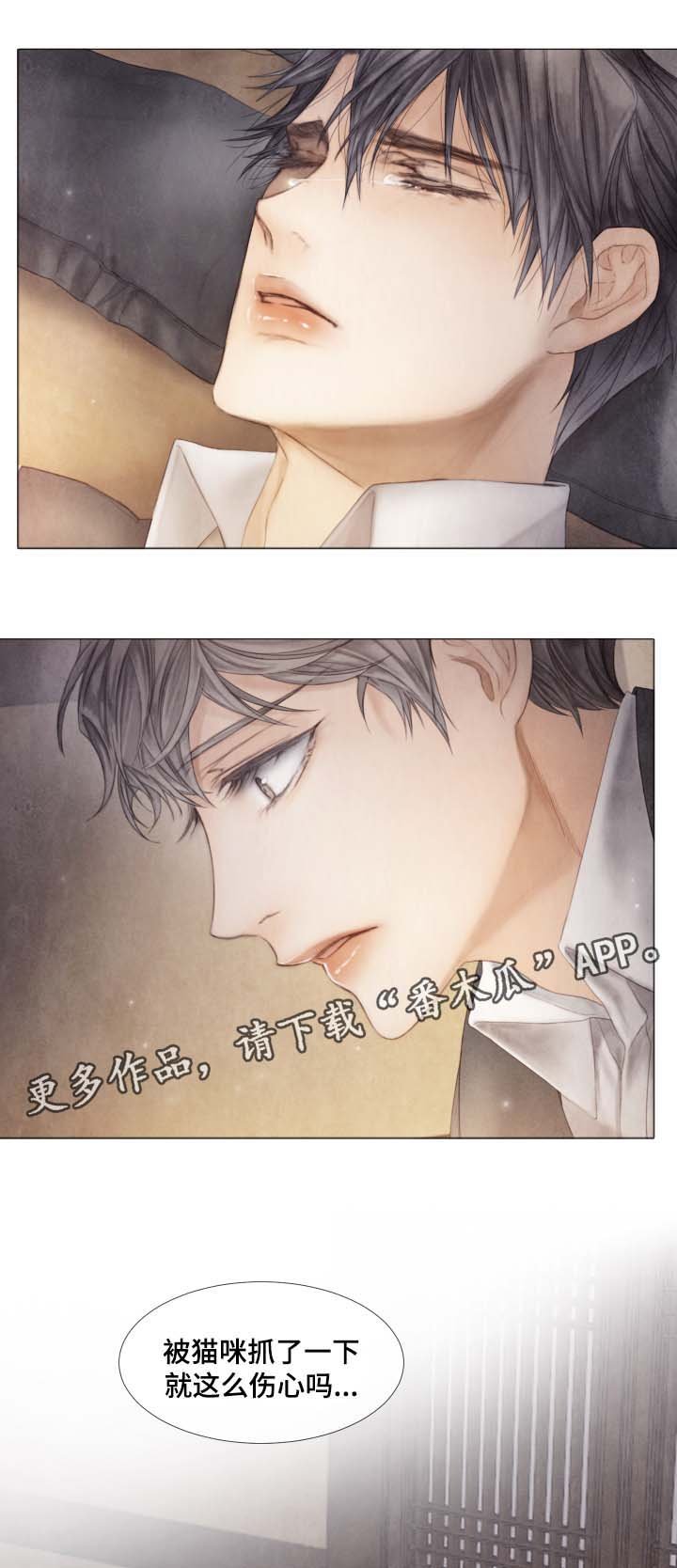 第42章：从未许诺给你