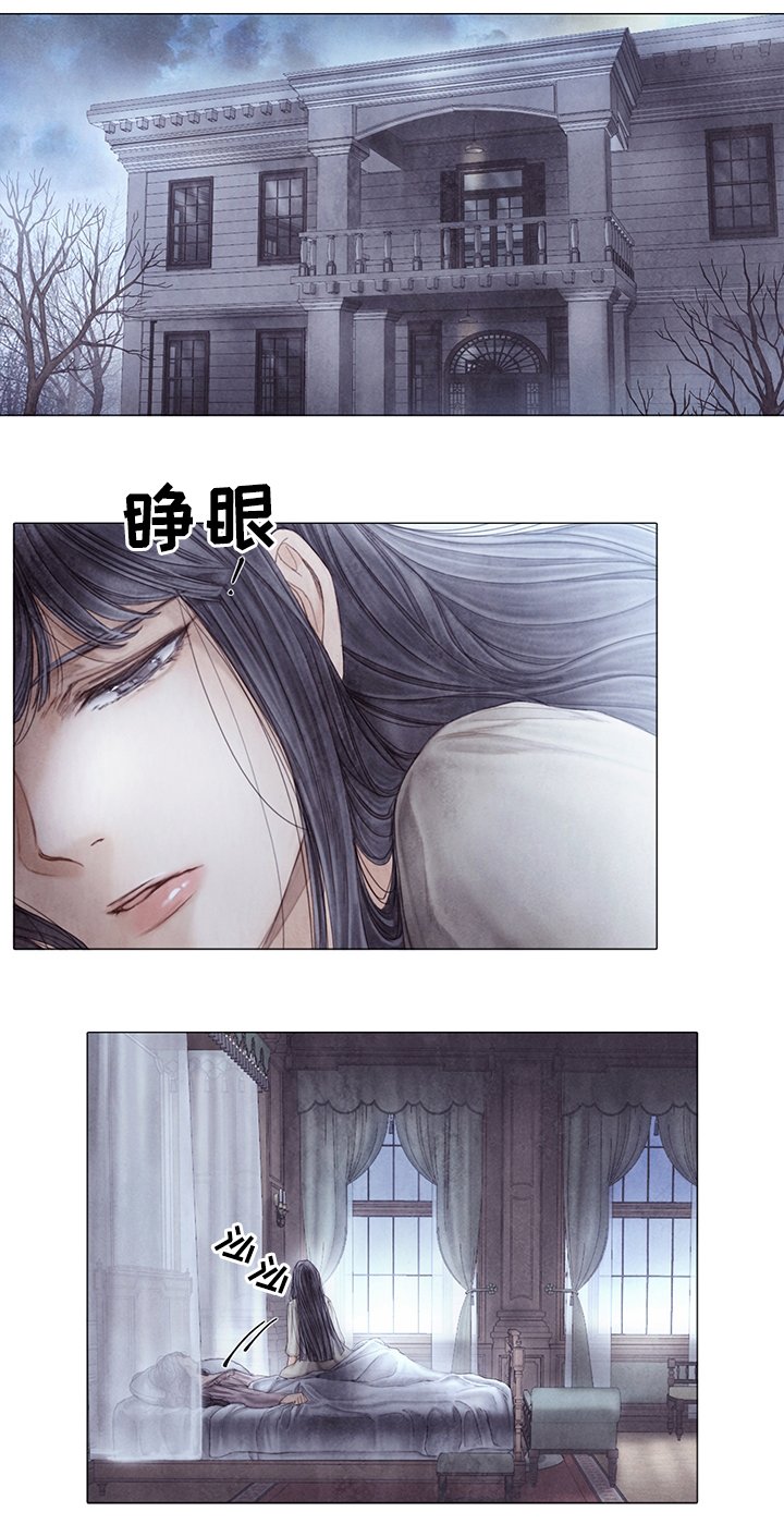 第51章：新的秘密
