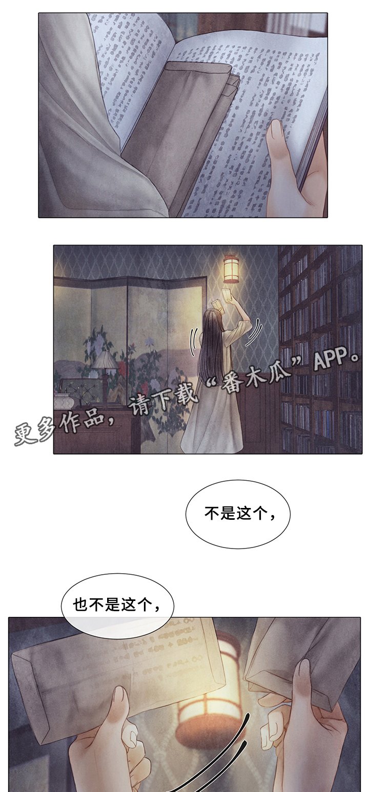 第51章：新的秘密